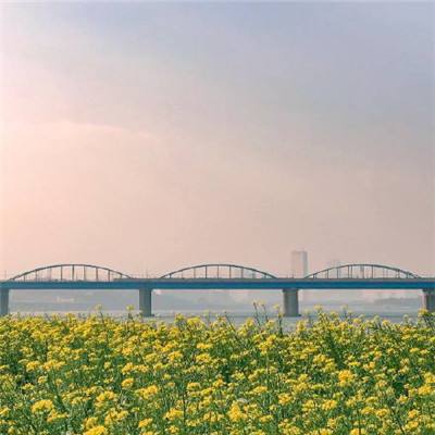 世界最大跨径公路三塔斜拉桥承力塔设计建造纪实